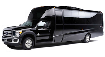 Mini Bus Transportation to Port Canaveral